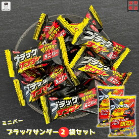 《母の日 プレゼント》 お菓子 詰め合わせ 送料無料 子供 個包装 駄菓子 業務用 駄菓子セット プチギフト スナック菓子 ブラックサンダー 900g 2袋 大容量 BIG チョコレート チョコ スナック ビスケット 有楽製菓 おやつ 焼き菓子 クッキー チョコクッキー