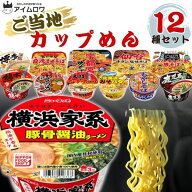 【今日の逸品SALE 13時〆最短翌日着】カップ麺 カップラーメン 詰め合わせ 12種 セット 送料無料 箱買い …