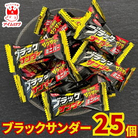 ブラックサンダー ミニバー 25個 有楽製菓 1000円 送料無料 お菓子 個包装 大容量 詰め合わせ 駄菓子 チョコレート 小分け おやつ 常温保存 長期保存 まとめ買い 家族用 子供 大人 学校 職場 イベント 配布用 ばらまき 差し入れ 業務用 パーティー 景品