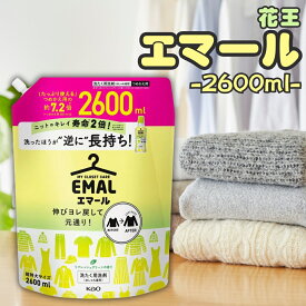 【13時〆最短翌日着】花王 エマール 詰め替え つめかえ 2600ml 大容量 柔軟剤 特大サイズ 詰替 洗濯洗剤 おしゃれ着 洗い洗剤 洗濯用 洗たく用洗剤 業務用 送料無料 2.6kg 買い置き ストック 常備 リフレッシュグリーンの香り 消耗品 まとめ買い おしゃれ着洗剤