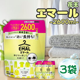 花王 エマール 詰め替え つめかえ 2600ml 3袋 大容量 柔軟剤 特大サイズ 詰替 洗濯洗剤 おしゃれ着 洗たく用洗剤 送料無料 2.6kg 買い置き ストック 常備 リフレッシュグリーンの香り 伸び ヨレ 戻し 毛玉 縮みを防ぐ シワ 色あせ 日用品 消耗品 まとめ買い 詰め合わせ