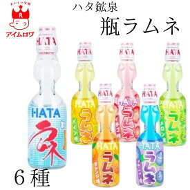ラムネ 瓶 飲料 飲み物 ジュース 詰め合わせ ハタ鉱泉 瓶ラムネ 6種 6本セット 瓶ラムネ業務用 サイダー ラムネ ビンラムネ イチゴ メロン パイン ブルーベリー オレンジ ビンラムネ ビー玉入り 詰め合わせ 夏休み お祭り イベント アソート 景品 子供会 帰省