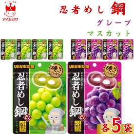 【13時〆最短翌日着】お菓子 まとめ買い UHA味覚糖 忍者メシ 鋼 グレープ味 マスカット味 45g 各5袋 セット 送料無料 グミ スイーツ 駄菓子 おやつ 薄くて硬い ハードグミ アソートセット 大人のおやつ 小腹 グミキャンディ お試し 小袋 お菓子 おや
