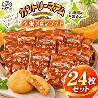 【13時〆最短翌日着】1000円ポッキリ 送料無料 ポイント消化 不二家 カントリーマアム 夕張メロンソフト …
