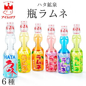 ラムネ 瓶 飲料 飲み物 ジュース 詰め合わせ ハタ鉱泉 瓶ラムネ 6種 6本セット 瓶ラムネ業務用 サイダー ラムネ ビンラムネ イチゴ メロン パイン ブルーベリー オレンジ ビンラムネ ビー玉入り 詰め合わせ 夏休み お祭り イベント アソート 景品 子供会 帰省