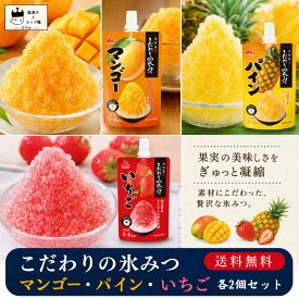 かき氷 シロップ 井村屋 送料無料 こだわりの氷みつ マンゴー いちご パイン 3種セット 合計6個 氷菓 あす楽 イチゴ ヨーグルト アイス ふわふわ アイスクリーム シャーベット お菓子 駄菓子 アレンジ レシ