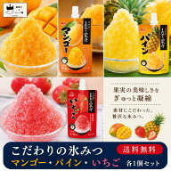 【13時〆最短翌日着】1000円ポッキリ 送料無料 かき氷 シロップ 業務用 井村屋 こだわりの氷みつ いちご …