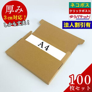 y@lʊzlR|XΉ A4TCY 3cm ^_{[ 100Zbg  䂤pPbg |Xg   [֗p _{[ NbN|Xg Ή i{[ 