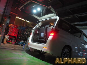 Junack �W���i�b�N LEDIST �J�[�S�����v 30�n �A���t�@�[�h ���F���t�@�C�A LCL-TY01