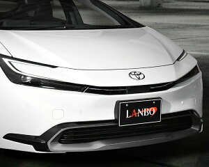 LANBO tgO_NgJo[ XeX vEX ZVW60/65