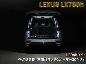 Junack �W���i�b�N LEDIST �J�[�S�����v ���N�T�X LX700h VJH310W