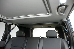 GENEFIELD WFltB[h T31 NT31 TNT31 DNT31 GNXgC A s[o[ veNVpbgt