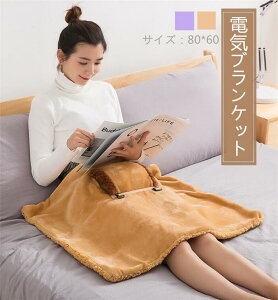 電気ひざかけの通販 価格比較 価格 Com