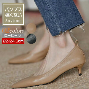 pvX [q[ ɂȂ L  |CebhgD 3.5cm ׃\[ ؂ x[W@ubN@ t  H ~ N[g 傫TCY  fB[X V[Y uh 