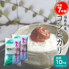 米 コシヒカリ 10kg(5kg×2袋) 福島県産 お米 7年産 送料無料 『令和7年福島県産コシヒカリ(白米5kg×2)』