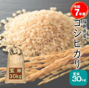 玄米 30Kgコシヒカリ」の人気商品一覧・価格比較 - 価格.com
