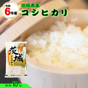 Z[  10kg RVqJ  6NY 錧Y  wߘa6N錧YRVqJ10kgx