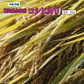 30kg コシヒカリ 玄米 福島県産 お米 元年産 会津産 送料無料 一等 『令和1年福島県会津産コシヒカリ玄米30kg』【RCP】