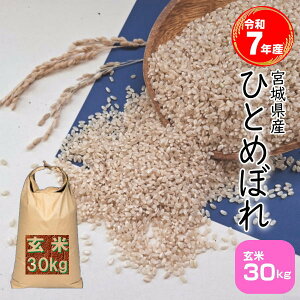 ひとめぼれ 米 30kg 玄米」の人気商品一覧・価格比較 - 価格.com