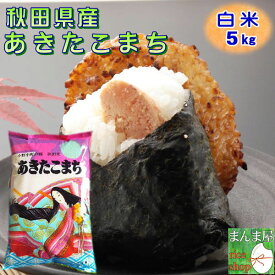 楽天市場 たこ まんまの通販