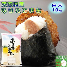 楽天市場 たこ まんまの通販