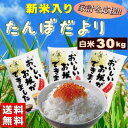 米 30kg お米 白米 安い (10kg×3袋) 訳あり ブレンド米 国内産 送料無料 『たんぼだより(白米10kg×3)』【RCP】