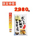 米 10kg お米 白米 安い 訳あり ブレンド米 国内産 送料無料 『たんぼだより白米10kg』【RCP】