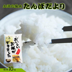 10kg    󂠂 uh  wYڂ蔒10kgx