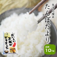 セール 10kg お米 白米 安い 訳あり ブレンド米 送料無料 『国内産たんぼだより白米10kg』