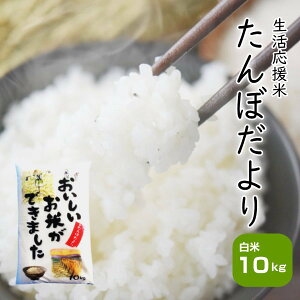 10kg    󂠂 uh  wYڂ蔒10kgx