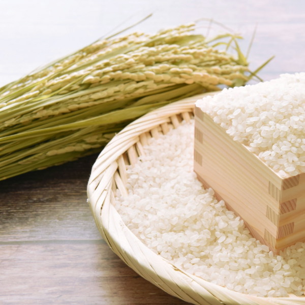 楽天市場】新米 30kg コシヒカリ 玄米 お米 5年産 福島県産 送料無料