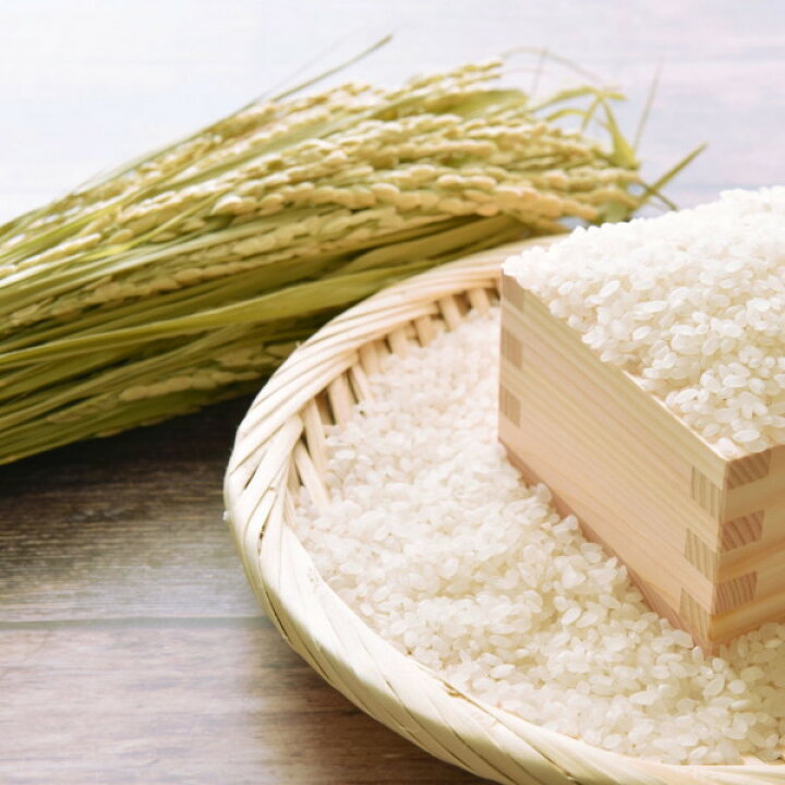 楽天市場】米 30kg コシヒカリ 玄米 お米 7年産 福島県産 送料無料 