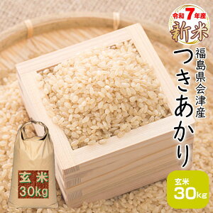 V 30kg    7NY Y  wߘa7NÎY茺30kgx