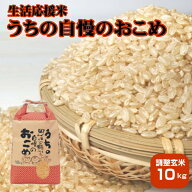 お米 10kg 送料無料 国内産 『うちの自慢のおこめ(調製玄米10kg)』