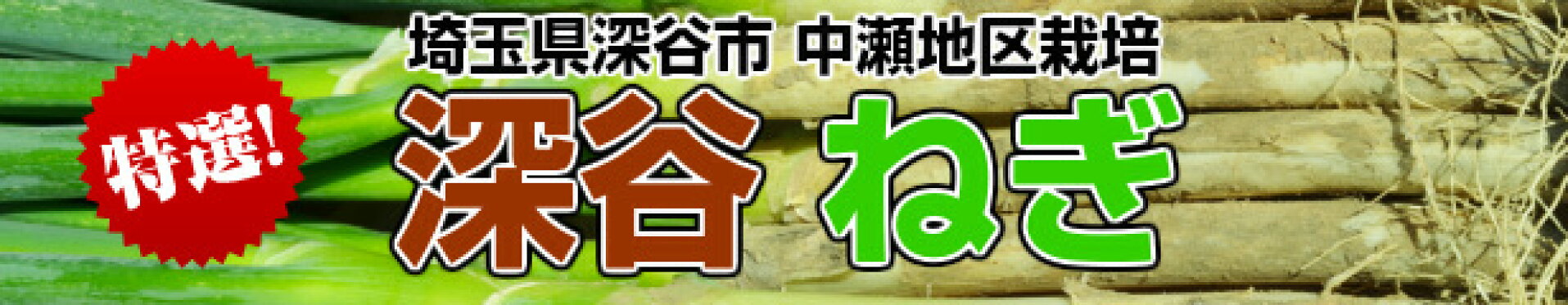 埼玉県深谷（中瀬地区栽培）　深谷ねぎ