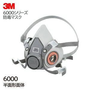 3M hŃ}XN ʌ`ʑ { ƌ荇i 6000 TCY S M L