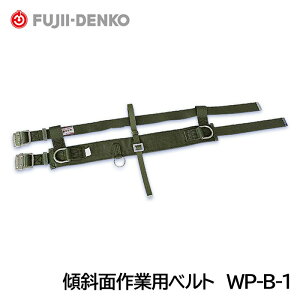 dH/c XΖʍƗpxg WP-B-1 idƗpj (̕sȋ}ΖʂŎgpƗpxg)