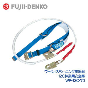 dH 12C ыƗpS VKiΉ U݂p WP-12C-70