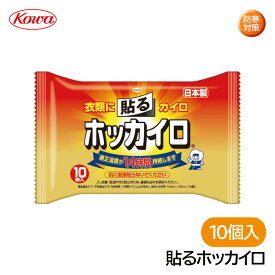 興和 貼るホッカイロ 28269（10枚入） 寒さ対策