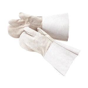 �����ӂ� 461 HK-3�w �� �n�ڗp 461