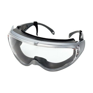 P h܃SO^ی상Kli^EKlpEƓ܂ɋ^Cvj