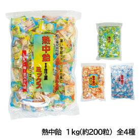 熱中飴 業務用 1kg 約200粒 大容量 熱中対策 塩飴 井関食品