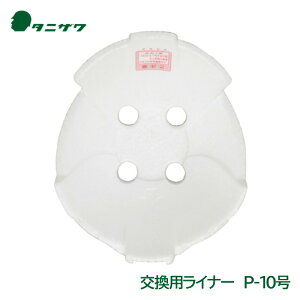 ^jU wbg p Ռz Ci[ P-10