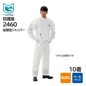 h앞 GCuR MAXGARD }bNXK[h2460 l݌^Wp[ (10) ی앞 ʋC o