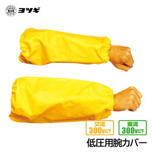 cM ሳprJo[ (ϓd/dC)