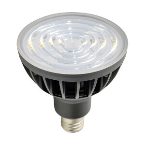 NICHIDO LED������ �n�C�X�y�b�N�G�R�r�b�N50W �X�|�b�g L50V2-J50BK-50K