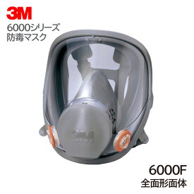 3M 防毒マスク 全面形面体 日本 国家検定合格 6000F