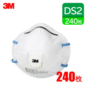 3M DS2 ĝ ho}XN { ƌ荇i 8805-DS2 240