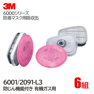 3M/X[G L@KXp z 6001/2091-L3 (6000E6000FE6500V[YΉ) 6g/1P[X hŃ}XN KX}XN Ɨp hǂ}XN