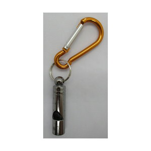 Rp F悯EfJzCbX 032925